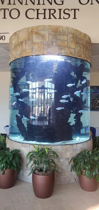 Harry's Marine Life Burbank Picture 8