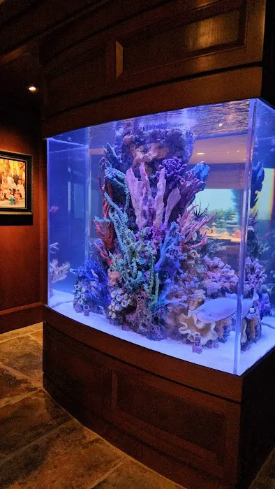 Harry's Marine Life Burbank Picture 3