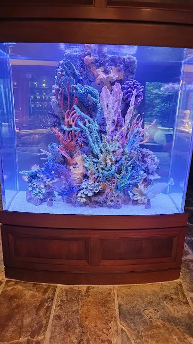 Harry's Marine Life Burbank Picture 7