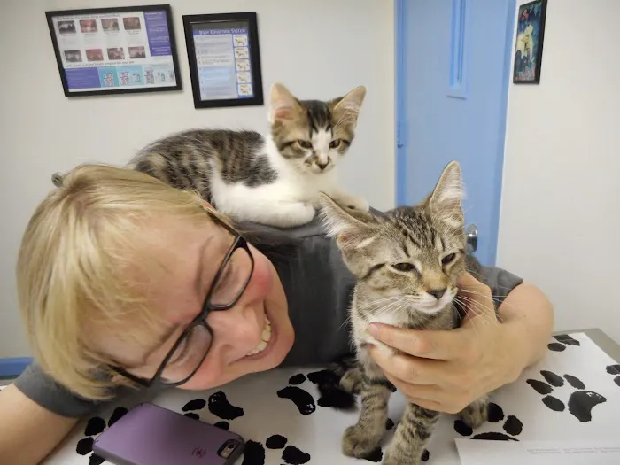 Ballston Animal Hospital Picture 6