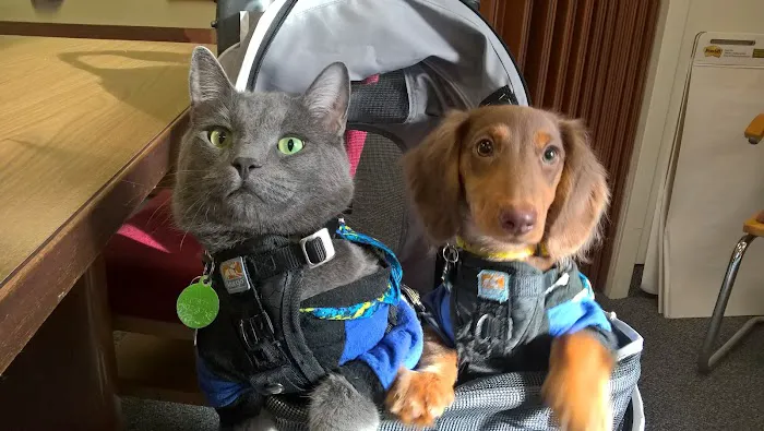 Ballston Animal Hospital Picture 9
