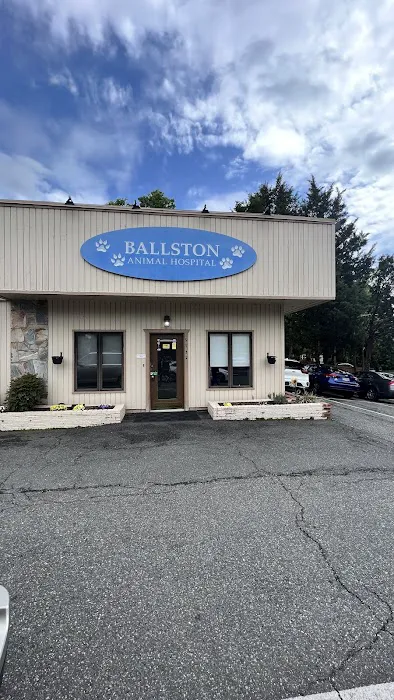 Ballston Animal Hospital Picture 2