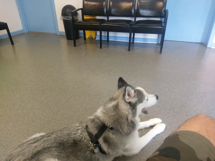 Ballston Animal Hospital Picture 3