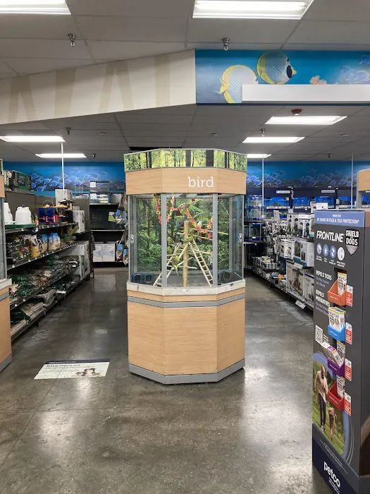 Petco Picture 5
