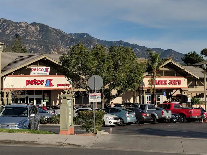 Petco Picture 4
