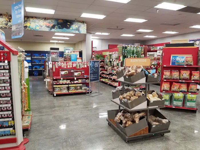 Petco Picture 10