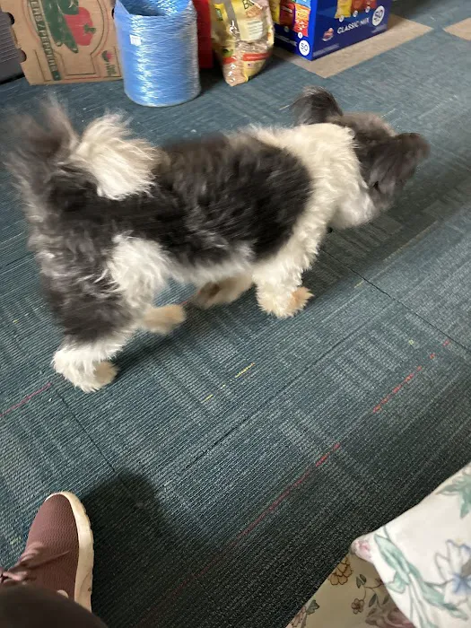 Banfield Pet Hospital Picture 8