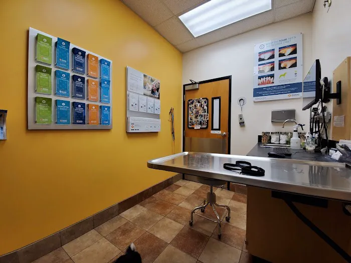 Banfield Pet Hospital Picture 4