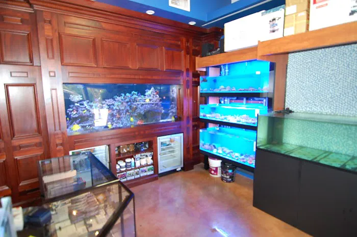 SPS Coral Store Picture 7