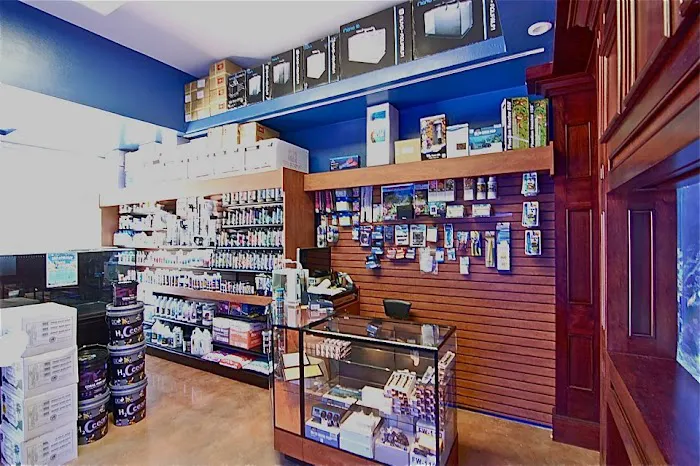 SPS Coral Store Picture 8