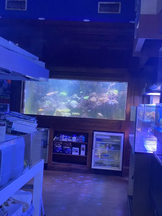 SPS Coral Store Picture 1