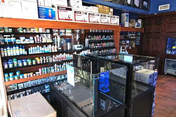 SPS Coral Store Picture 4