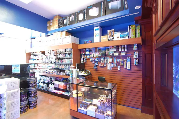 SPS Coral Store Picture 9