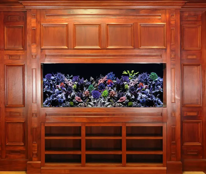SPS Coral Store Picture 10