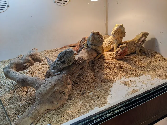 Burbank Scales 'N' Tails Picture 6