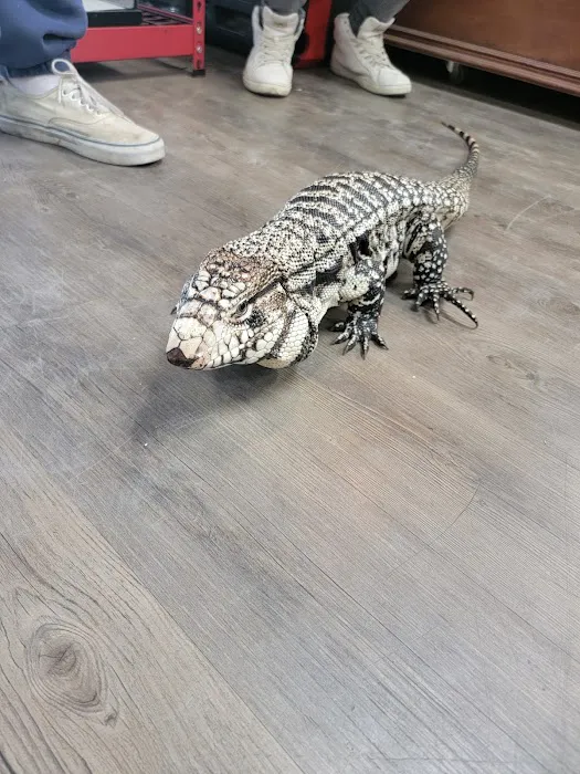 The Basking Spot Pets and Supplies Picture 7
