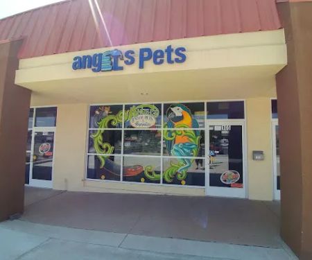 The Basking Spot Pets and Supplies