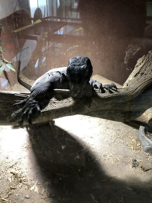 The Basking Spot Pets and Supplies Picture 9