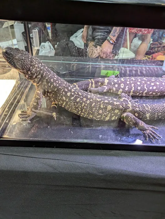 Reptile Super Show | LA Pet Fair Picture 9