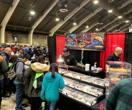 Reptile Super Show | LA Pet Fair