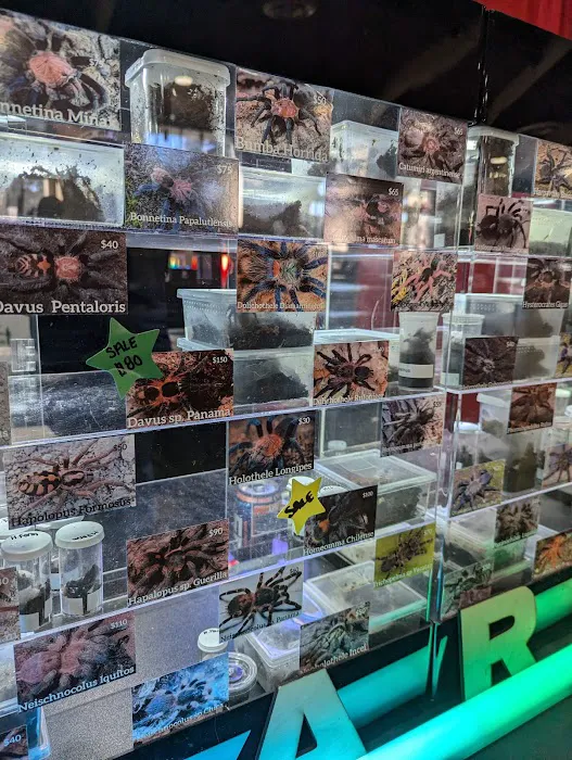 Reptile Super Show | LA Pet Fair Picture 5