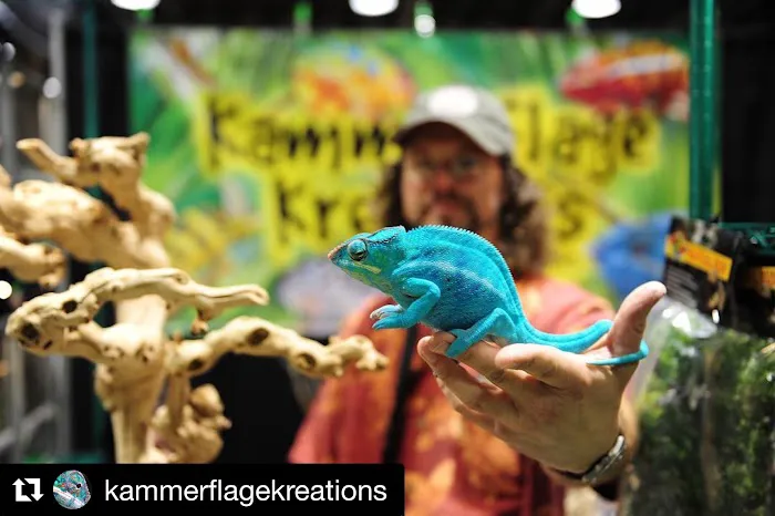 Reptile Super Show | LA Pet Fair Picture 7