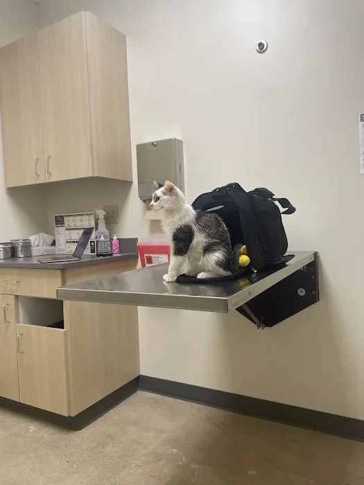 Vetco Total Care Animal Hospital Picture 1