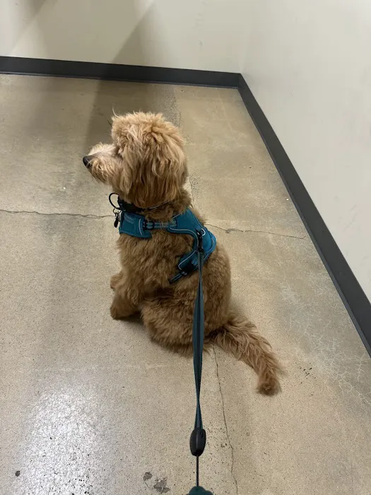 Vetco Total Care Animal Hospital Picture 3
