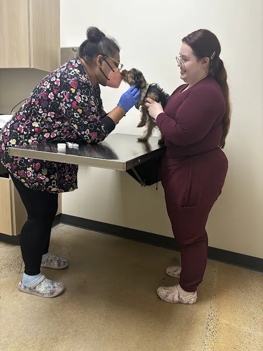 Vetco Total Care Animal Hospital Picture 7
