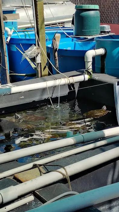 Fish City Koi & Tropical Fish Picture 2