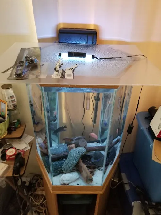 Fish City Koi & Tropical Fish Picture 3