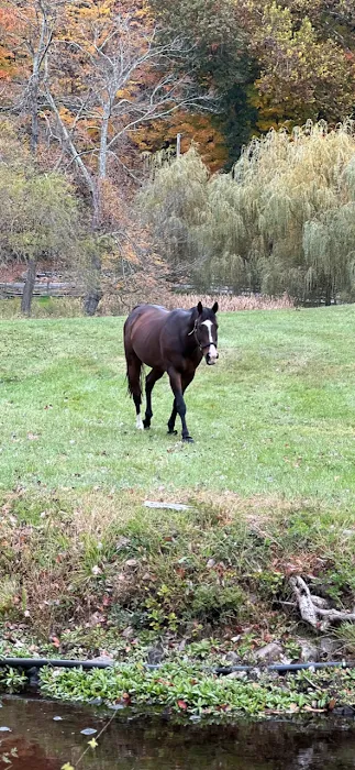 All Seasons Veterinarian Practice Picture 1