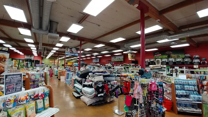PET DEPOT La Verne Picture 2