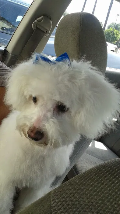 PET DEPOT La Verne Picture 7
