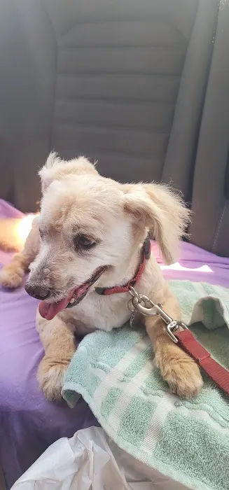 PET DEPOT La Verne Picture 3