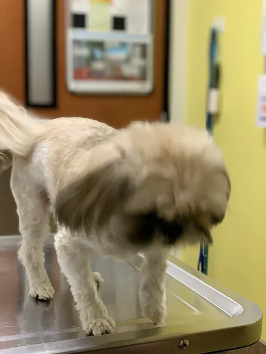 Banfield Pet Hospital Picture 3
