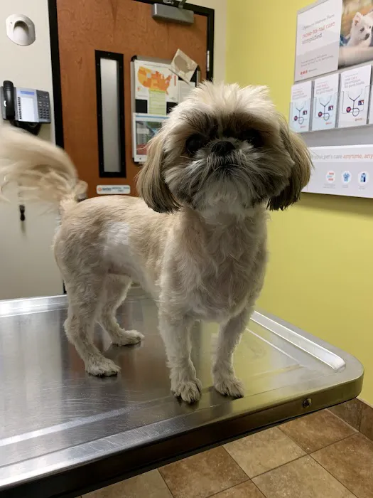 Banfield Pet Hospital Picture 6