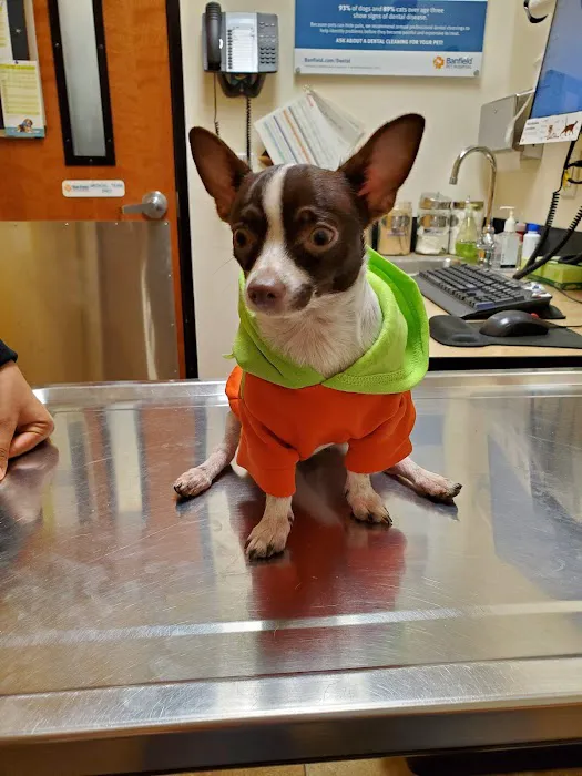 Banfield Pet Hospital Picture 7