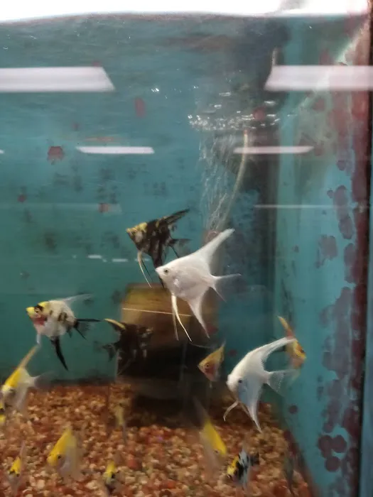 Foothill Aquatic & Pets Picture 4