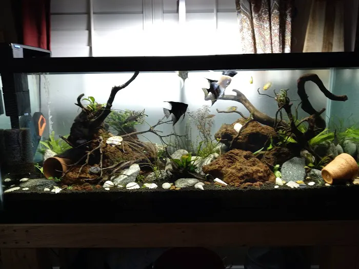 Foothill Aquatic & Pets Picture 10