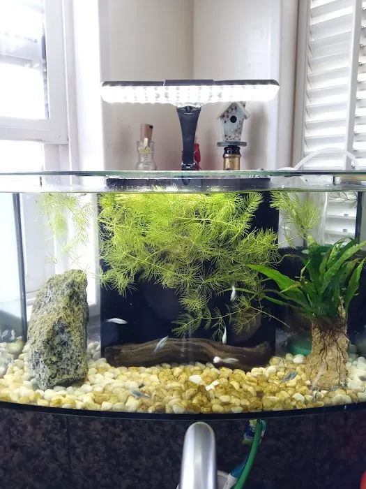 Foothill Aquatic & Pets Picture 5