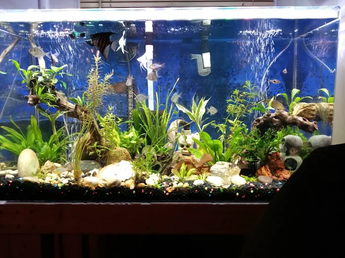 Foothill Aquatic & Pets Picture 7