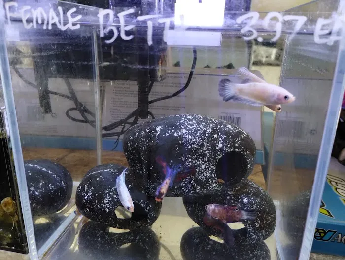 Foothill Aquatic & Pets Picture 3