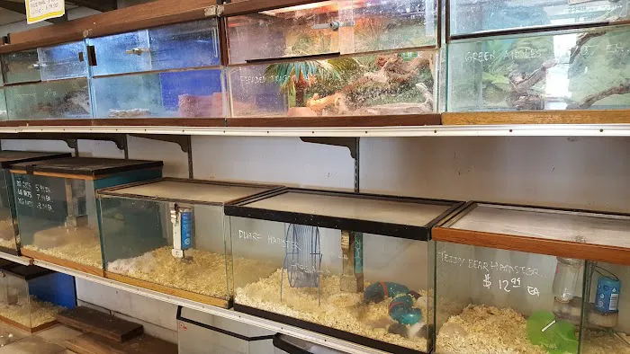 Foothill Aquatic & Pets Picture 6