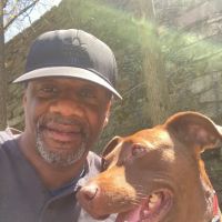 Larchmont Animal Hospital ico