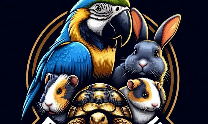 PET ZONE Picture 1
