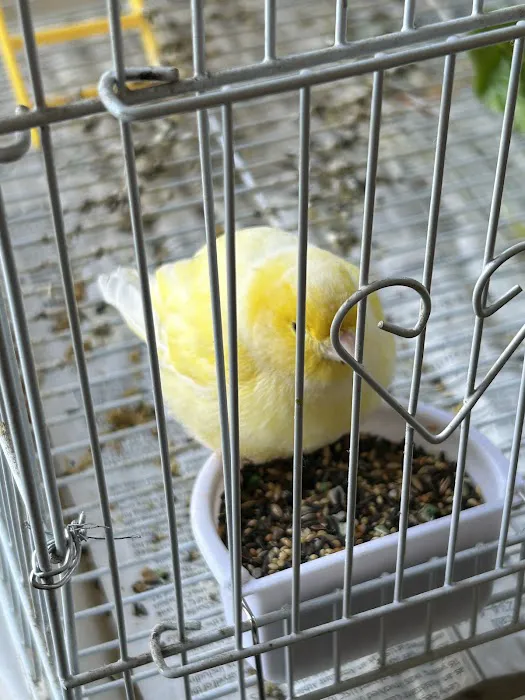 Feathered Friends & Critters Picture 5