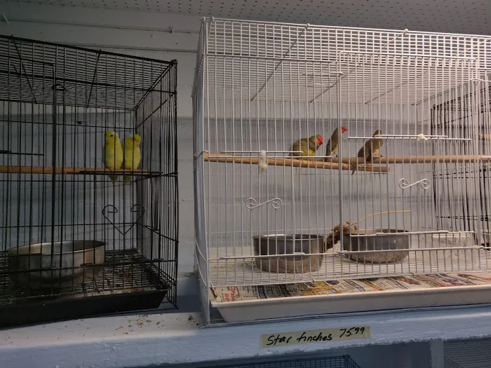 Feathered Friends & Critters Picture 4