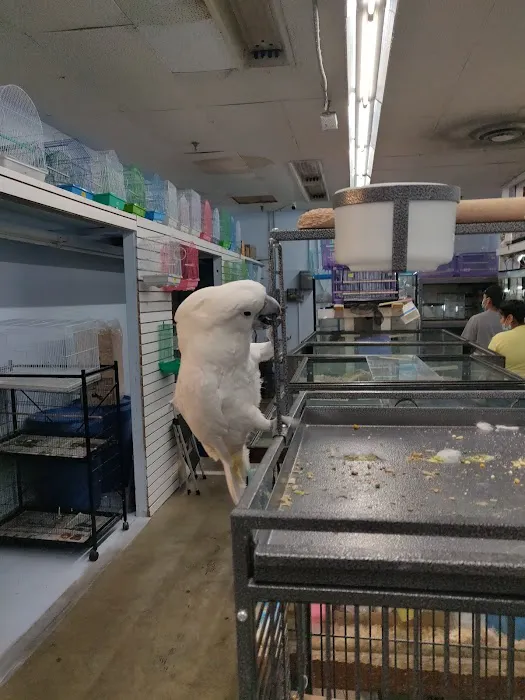 Feathered Friends & Critters Picture 3