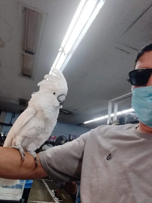 Feathered Friends & Critters Picture 2
